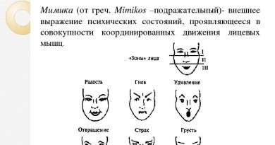 Что значит выражение лицом к лицу. chto znachit vyrazhenie litsom k litsu. Что значит выражение лицом к лицу фото. Что значит выражение лицом к лицу-chto znachit vyrazhenie litsom k litsu. картинка Что значит выражение лицом к лицу. картинка chto znachit vyrazhenie litsom k litsu.