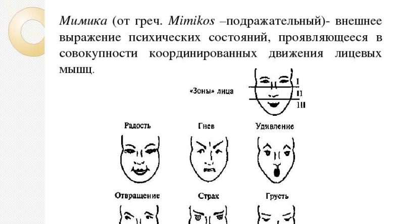 Что значит выражение лицом к лицу. chto znachit vyrazhenie litsom k litsu. Что значит выражение лицом к лицу фото. Что значит выражение лицом к лицу-chto znachit vyrazhenie litsom k litsu. картинка Что значит выражение лицом к лицу. картинка chto znachit vyrazhenie litsom k litsu.